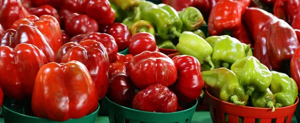 Hot peppers varieties Pimientos Choriceros, Scotch Bonnet, dry hot guindilla peppers, and Piparras-Basque green peppers in brine.