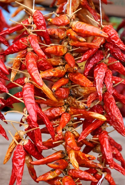 Pimientos Secos Pimientos Choriceros Chiles Guindilla Secos Pimientos Verdes Vascos — Foto de Stock