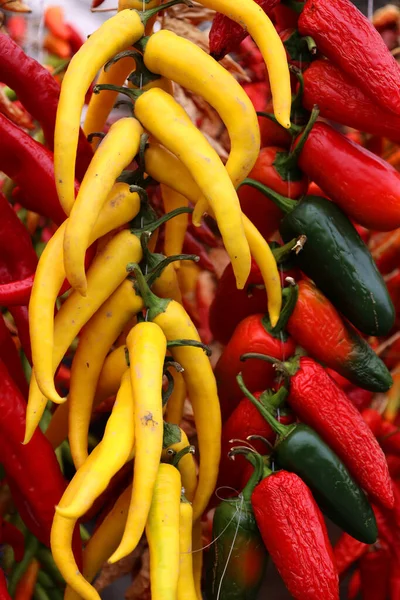 Pimientos Secos Pimientos Choriceros Chiles Guindilla Secos Pimientos Verdes Vascos — Foto de Stock