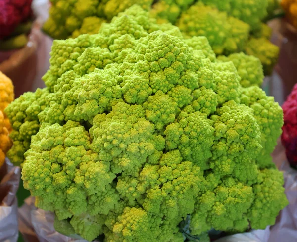 Romanesco Brokolice Nebo Římský Květák Tento Starověký Italský Dědictví Může — Stock fotografie