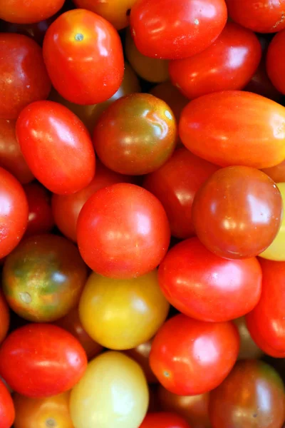 Pomidory Wiśniowe Targu Jean Talon Targ Rolniczy Montrealu Położony Dzielnicy — Zdjęcie stockowe