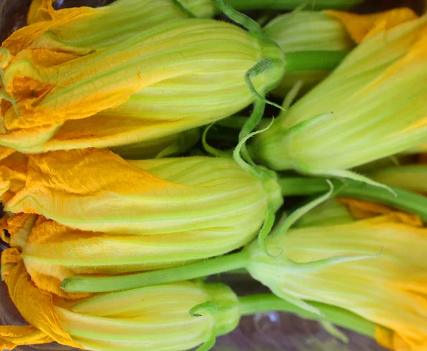 Squash blossoms, courgette flowers are the edible flowers of Cucurbita species, particularly Cucurbita pepo, the species that produces zucchini (courgette)