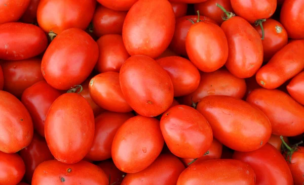 Roma Tomate Oder Roma Ist Eine Pflaumentomate Die Aufgrund Ihrer — Stockfoto