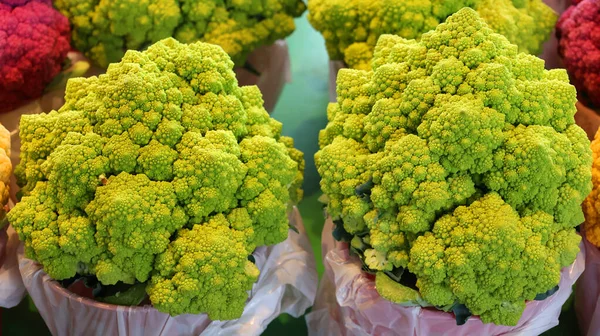 Romanesco Brokolice Nebo Římský Květák Tento Starověký Italský Dědictví Může — Stock fotografie