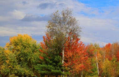 Quebec eyaletinin doğu kasabalarında sonbahar manzarası