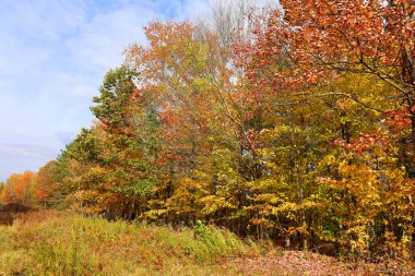 Quebec eyaletinin doğu kasabalarında sonbahar manzarası