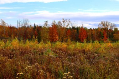 Quebec eyaletinin doğu kasabalarında sonbahar manzarası