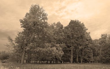 Kuzey Amerika doğudaki Bromont Quebec eyaletleri Kanada 'ya düştü