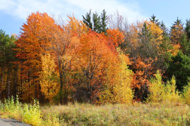 Kuzey Amerika doğudaki Bromont Quebec eyaletleri Kanada 'ya düştü