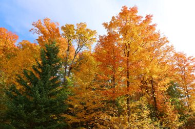 Kuzey Amerika doğudaki Bromont Quebec eyaletleri Kanada 'ya düştü