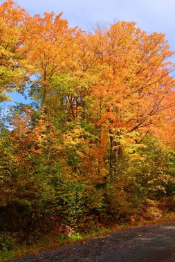 Kuzey Amerika doğudaki Bromont Quebec eyaletleri Kanada 'ya düştü