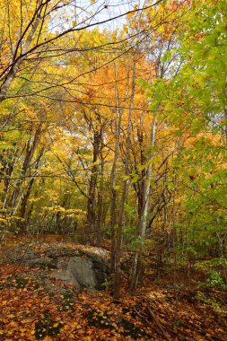 Kuzey Amerika doğudaki Bromont Quebec eyaletleri Kanada 'ya düştü