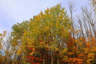 Kuzey Amerika doğudaki Bromont Quebec eyaletleri Kanada 'ya düştü