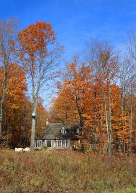 EASTERN TOWNGeIP QUEBEC CANADA 10. 13 2022: Kanada 'nın Quebec eyaletinin sonbahar doğusundaki tipik Kanada evi