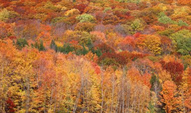 Kuzey Amerika doğudaki Bromont Quebec eyaletleri Kanada 'ya düştü