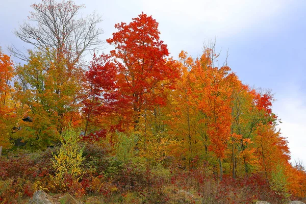 Hösten Landskap Östra Townships Quebec Provinsen Kanada — Stockfoto