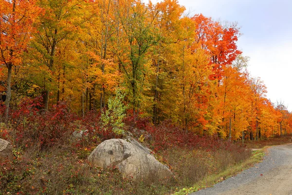 Северо Американский Осенний Ландшафтный Путь Дороги Восточном Городе Провинции Квебек — стоковое фото