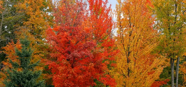 Herbst Landschaft Östliche Gemeinden Quebec Provinz Kanada — Stockfoto