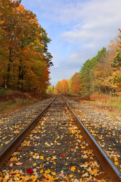 Tory Jesiennym Krajobrazie Wschodnie Miasta Prowincja Bromont Quebec Kanada — Zdjęcie stockowe