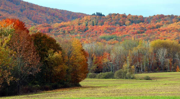 Paisaje Otoñal Municipios Orientales Quebec Provincia Canadá —  Fotos de Stock