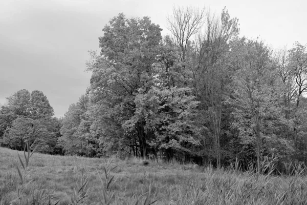 Outono Paisagem Leste Municípios Quebec Província Canadá — Fotografia de Stock