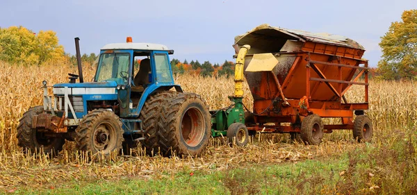 Eastern Township Quebec Canada 2022 Kombinace Řeže Kukuřičné Kmeny Kukuřičném — Stock fotografie