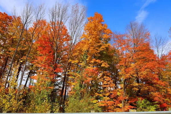 North America Fall Landscape Landscape Eastern Town Ships Bromont Quebec — 스톡 사진