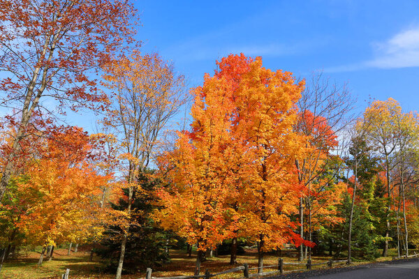 North america fall landscape eastern townships Bromont Quebec province Canada