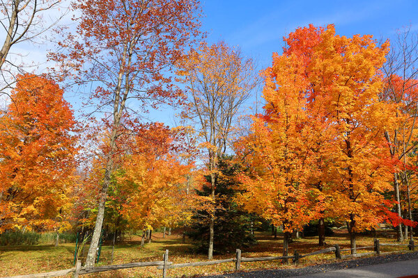 North america fall landscape eastern townships Bromont Quebec province Canada