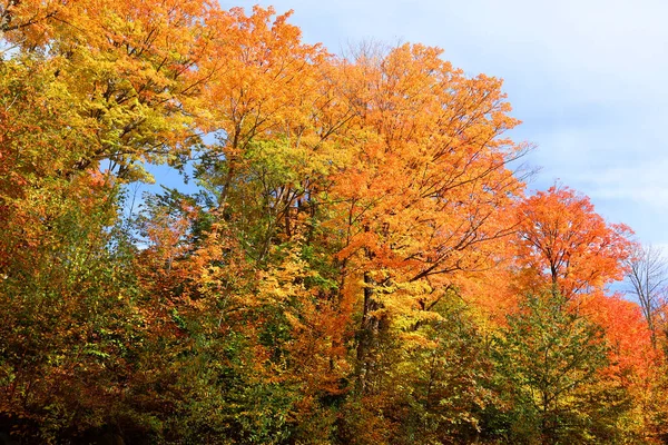 北美秋季景观东部乡镇布鲁蒙特魁北克省加拿大 — 图库照片