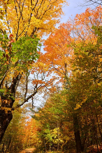 Nordamerika Faller Landskap Östra Townships Bromont Quebec Provinsen Kanada — Stockfoto