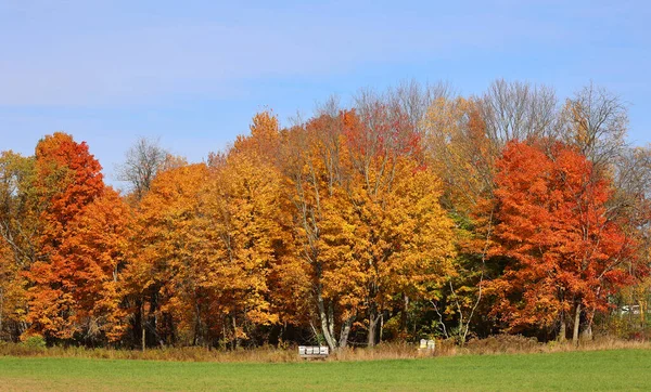 North America Fall Landscape Landscape Eastern Town Ships Bromont Quebec — 스톡 사진