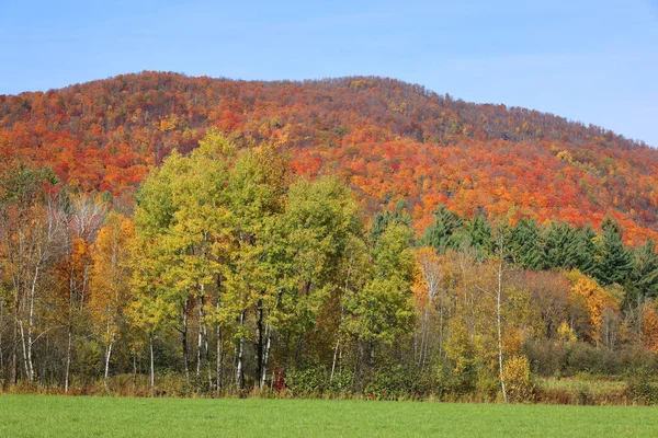 América Del Norte Caída Paisaje Este Municipios Bromont Quebec Provincia — Foto de Stock