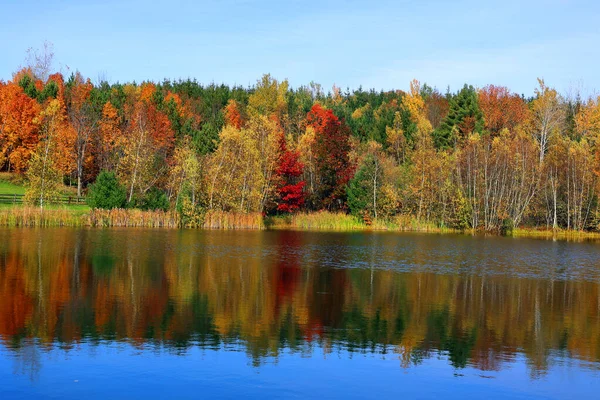 Осенний Пейзаж Бромонт Восточный Город Квебек Провинция Канада — стоковое фото