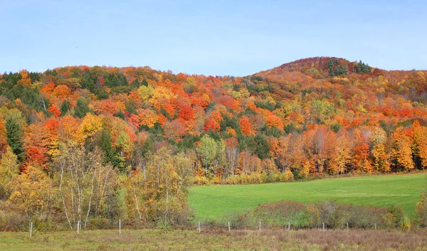 Ameryka Północna Jesień Krajobraz Wschodnie Miejscowości Bromont Quebec Prowincji Kanada — Zdjęcie stockowe