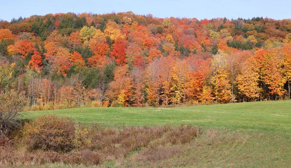 América Del Norte Caída Paisaje Este Municipios Bromont Quebec Provincia —  Fotos de Stock