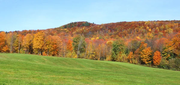 North America Fall Landscape Landscape Eastern Town Ships Bromont Quebec — 스톡 사진