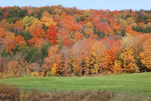 Ameryka Północna Jesień Krajobraz Wschodnie Miejscowości Bromont Quebec Prowincji Kanada — Zdjęcie stockowe