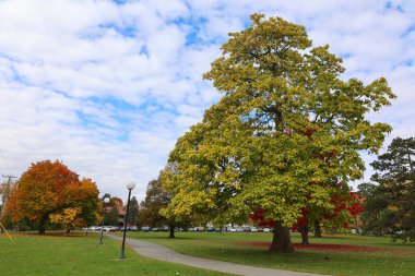 Kuzey Amerika Montreal Quebec eyaleti Kanada 'ya düştü