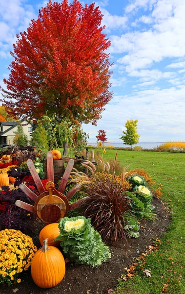 Big Assortment Decorative Pumpkins Squashes Market Montreal Quebec Canada — Stock Photo, Image