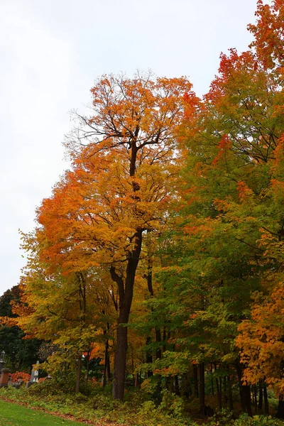 Severní Amerika Podzim Krajina Montreal Quebec Provincie Kanada — Stock fotografie