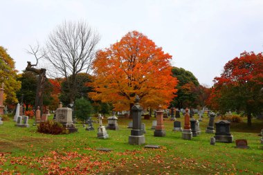 MONTREAL CANADA 10 19 2022: Güneşli bir sonbahar gününde Notre-Dame-des-Neiges Mezarlığı 'ndaki anıt. Kanada 'daki en büyük mezarlık ve Kuzey Amerika' daki en büyük üçüncü mezarlık.