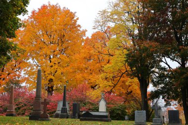 MONTREAL CANADA 10 19 2022: Güneşli bir sonbahar gününde Notre-Dame-des-Neiges Mezarlığı 'ndaki anıt. Kanada 'daki en büyük mezarlık ve Kuzey Amerika' daki en büyük üçüncü mezarlık.