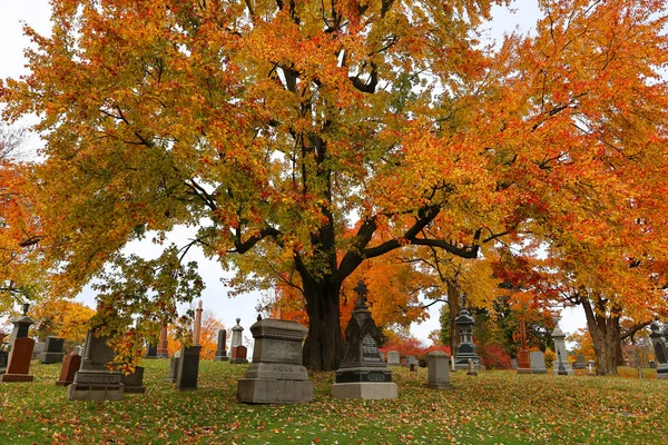 MONTREAL CANADA 10 19 2022: Güneşli bir sonbahar gününde Notre-Dame-des-Neiges Mezarlığı 'ndaki anıt. Kanada 'daki en büyük mezarlık ve Kuzey Amerika' daki en büyük üçüncü mezarlık.