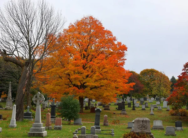 Montreal Canada 2022 秋天阳光灿烂的日子 圣母院内的纪念碑 是加拿大最大的墓地 北美第三大墓地 — 图库照片