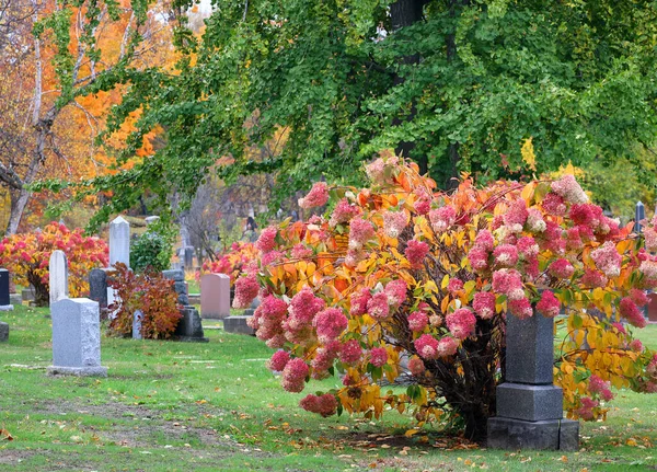 Montreal Canada 2022 Monumento Cementerio Notre Dame Des Neiges Durante —  Fotos de Stock