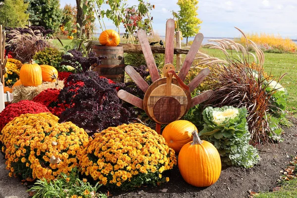 Big Assortment Decorative Pumpkins Squashes Market Montreal Quebec Canada — Stock Photo, Image