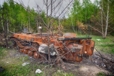 Ukrayna 'daki Rus işgalinin sonuçları