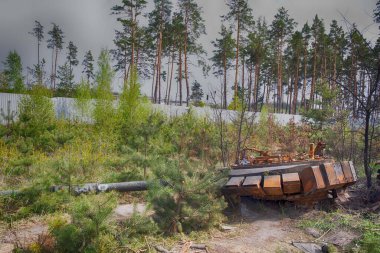 Ukrayna 'daki Rus işgalinin sonuçları