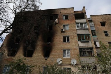 Ukrayna 'daki Rus işgalinin sonuçları